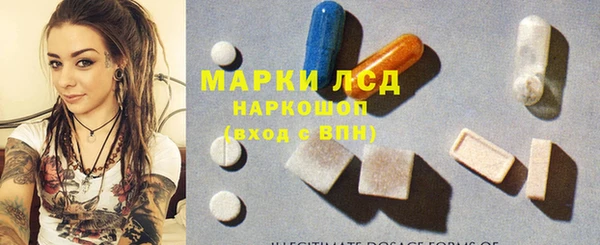 дмт Алзамай