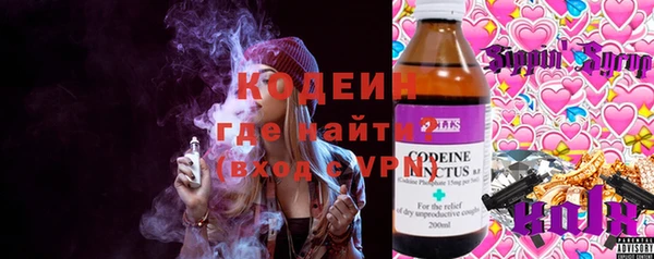 крисы Алексин