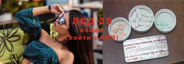 дмт Алзамай