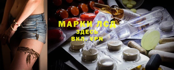 крисы Алексин